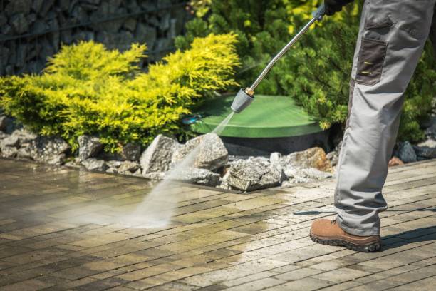 Best Pre-Holiday Cleaning  in Rio Grande, NJ